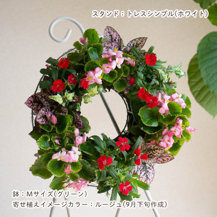 花うるる おまかせ／「季節の寄せ植えinシンプルリースMサイズ