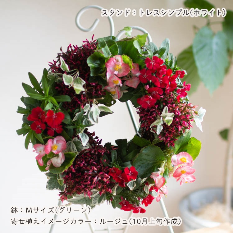 花うるる おまかせ／「季節の寄せ植えinシンプルリースMサイズ