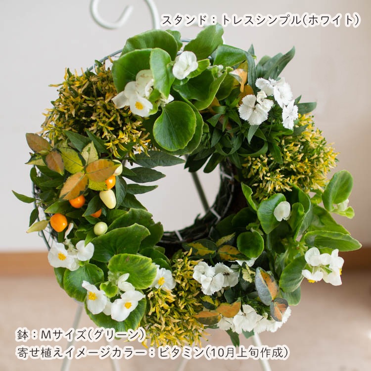 花うるる おまかせ／「季節の寄せ植えinシンプルリースMサイズ
