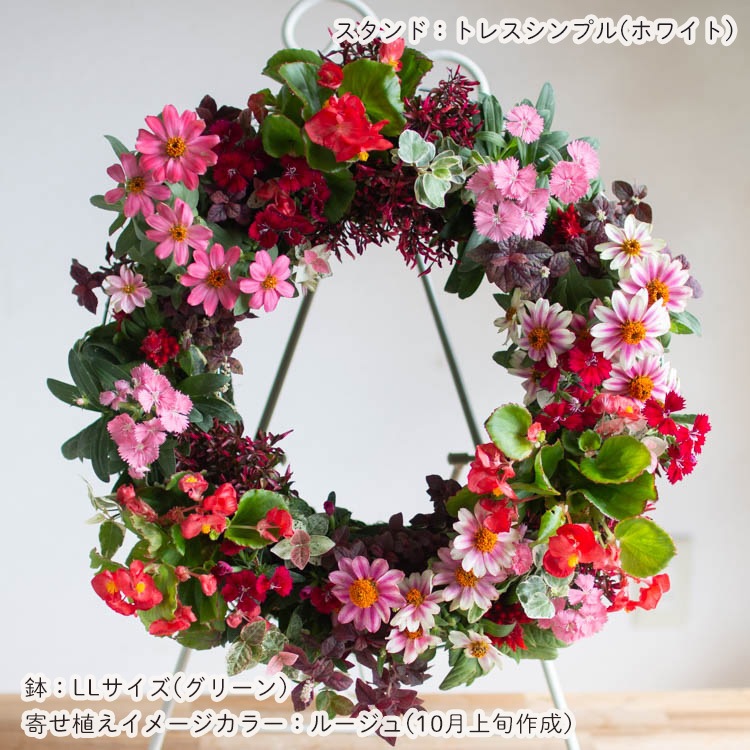 花うるる おまかせ／「季節の寄せ植えinアレンジリースLLサイズ