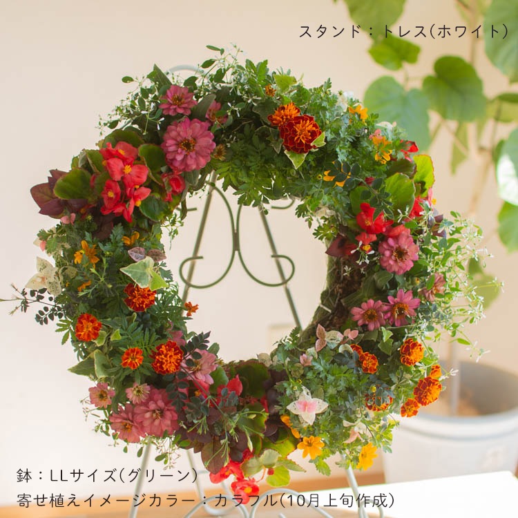 花うるる おまかせ／「季節の寄せ植えinアレンジリースLLサイズ