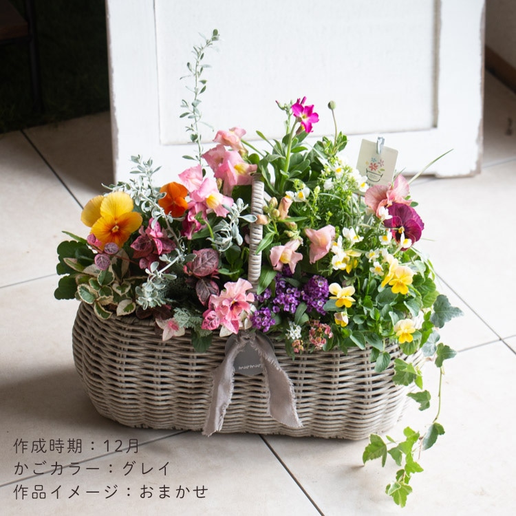 花うるる おまかせ／「季節の寄せ植えinジェミニバスケット レク