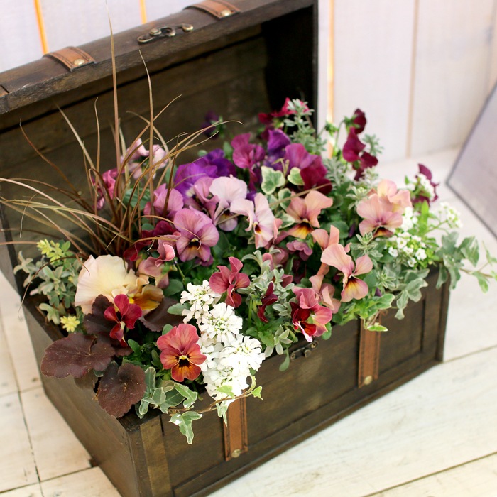 花うるる おまかせ／「季節の寄せ植えinトレジャーBOX(Mサイズ