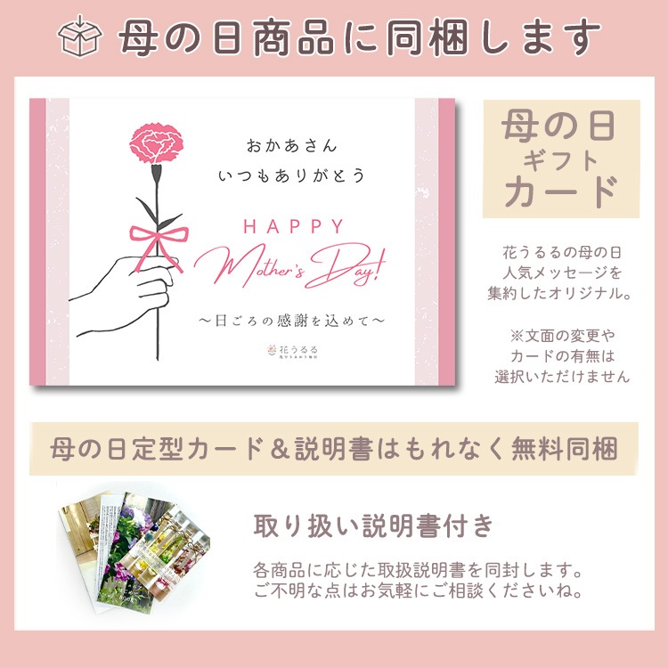 花うるる 珍しいレア品種 アジサイ 5号 鉢植え「万華鏡(パープル) ／月