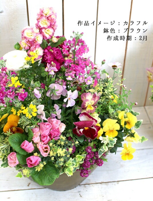 ありきたりな寄せ植えに満足できない方へ [花うるる 季節のオーダー