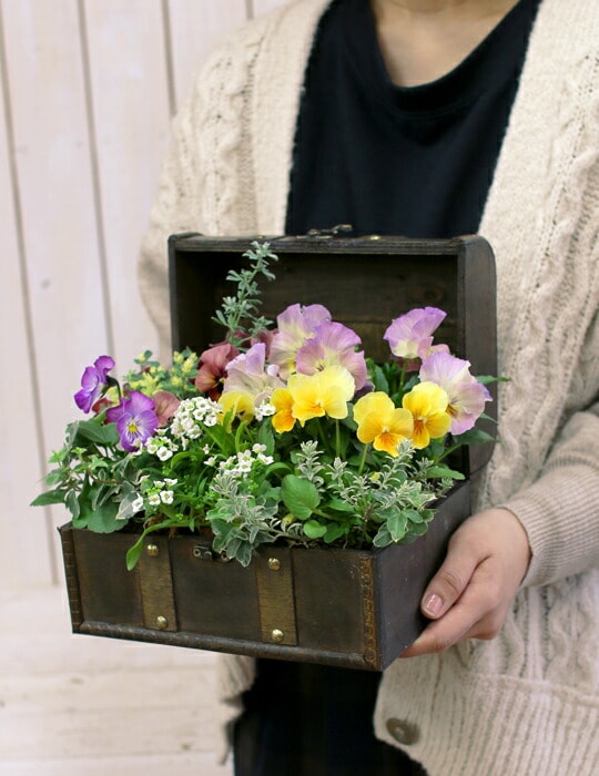 豪華❣️そのまま飾れる寄せ植え❣️オーダー品＊ 豪華❣️そのまま飾れる寄せ植え❣️オーダー品＊