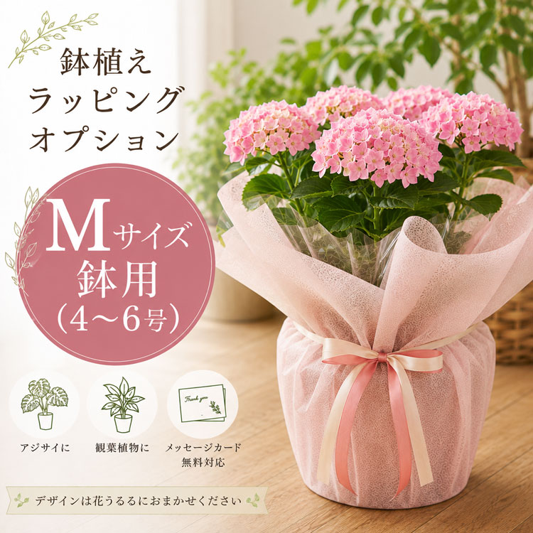 秋色アジサイ「マリーアントワネット」 5号鉢 | 鉢花,アジサイ | 花