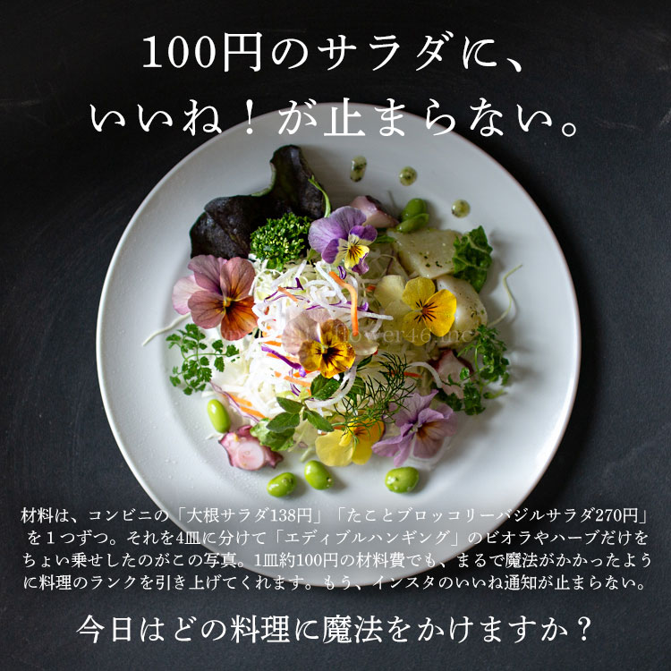 数量限定／食べれる寄せ植え 宿根草【エディブルフラワー ナデシコの