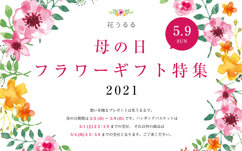 母の日商品が入荷しました