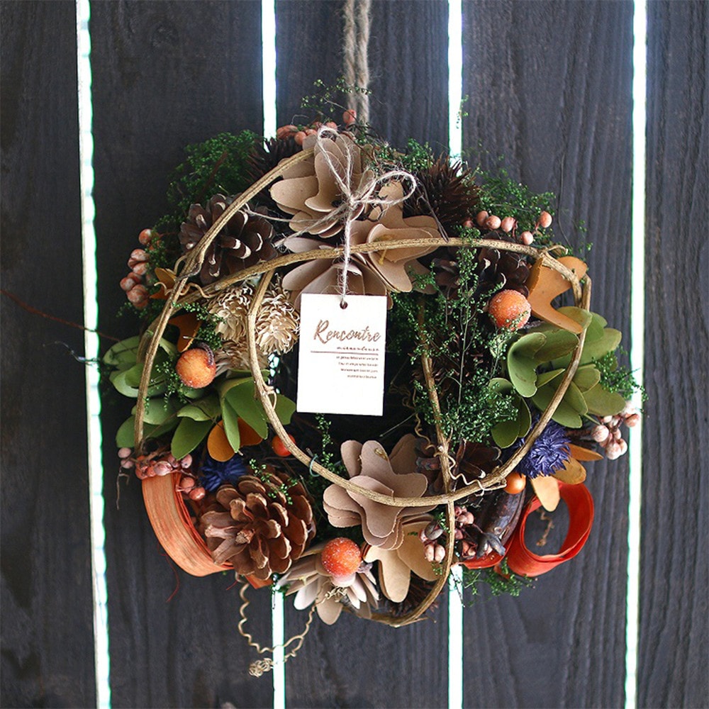 �ϥ������� �ɥ饤�ե� �꡼�� M ���β��ں�