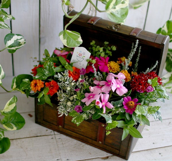 送料無料】花うるる おまかせ 寄せ植え トレジャーBOX [Mサイズ