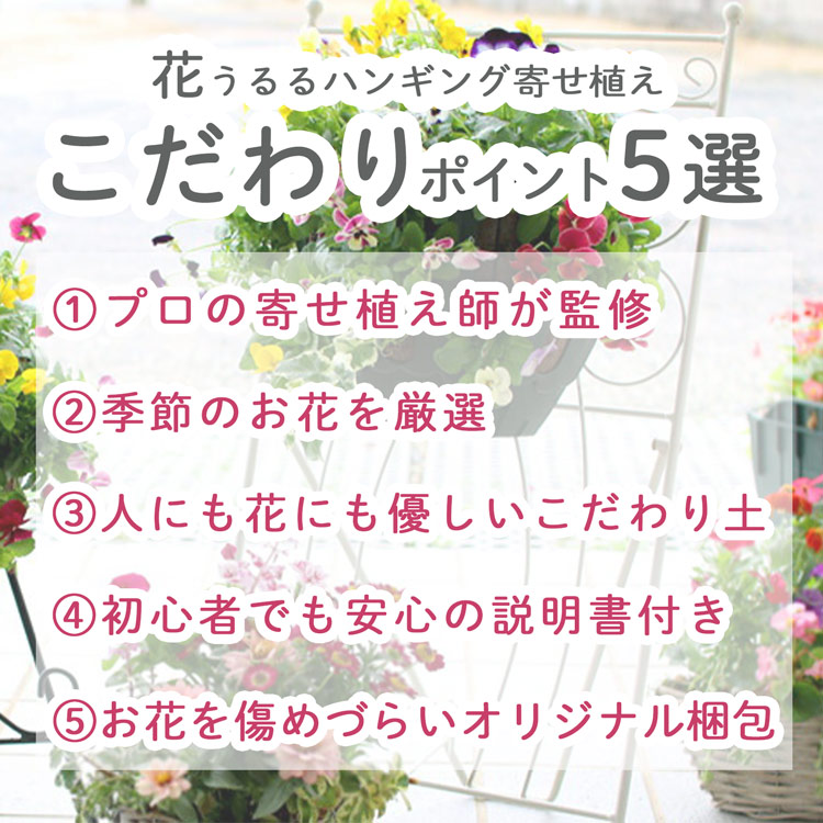 花うるる おまかせ／「季節の寄せ植えinトレジャーBOX(Sサイズ