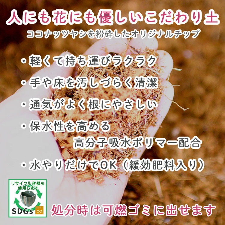 3個セット 送料無料】ベゴニアのハンギング 寄せ植え [3色セット 福袋