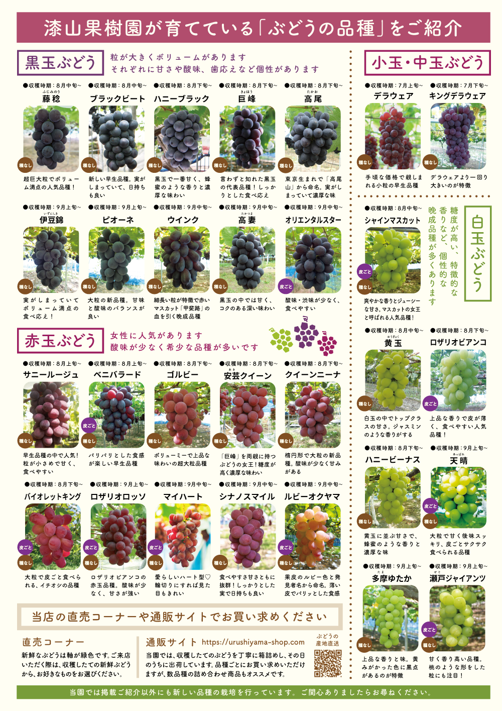 ぶどう品種