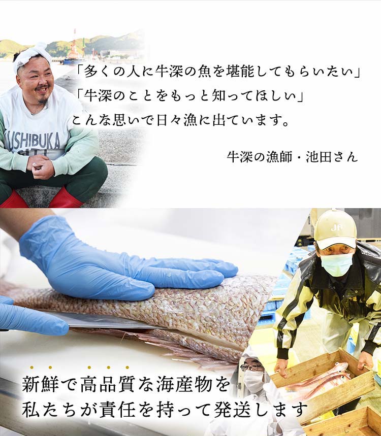牛深の漁師・池田さん「多くの人に牛深の魚を堪能してもらいたい」「牛深のことをもっと知ってほしい」こんな思い出日々漁に出ています。新鮮で高品質な海産物を私たちが責任を持って発送します