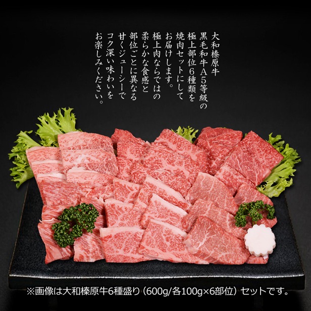 大和榛原牛 6種盛り 600g 食べ比べ 焼肉 セット みすじ ウデ ロース イチボ カルビ モモ 各100g 送料無料 黒毛和牛 焼肉 A5 焼き肉  ヤキニク やきにく 冷凍便-うし源本店