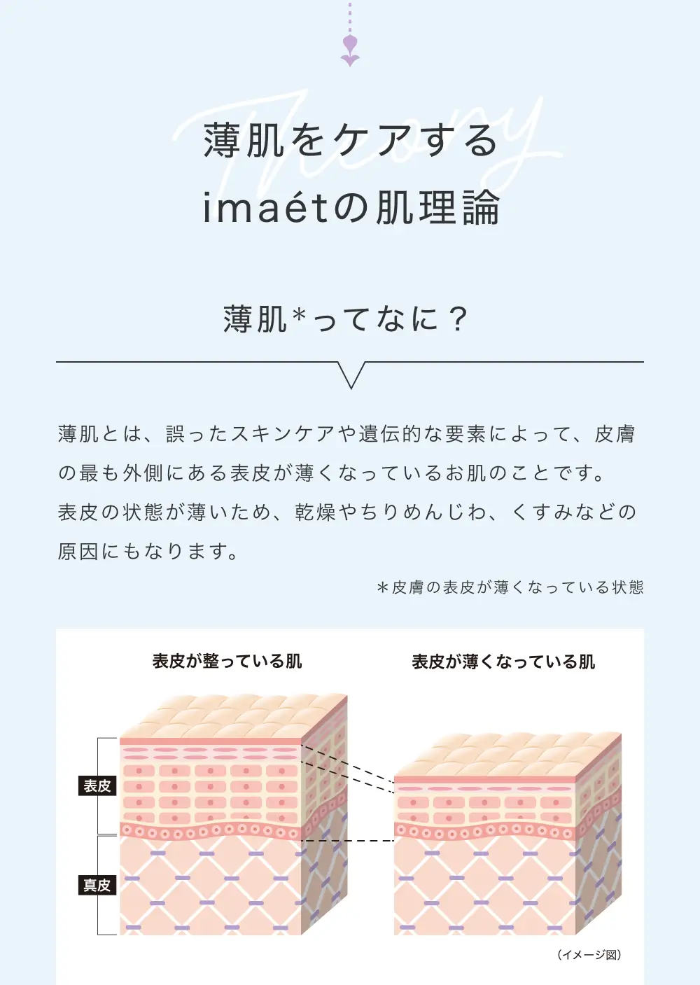 薄肌をケアするimaetの肌理論　薄肌*ってなに？　薄肌とは、誤ったスキンケアや遺伝的な要素によって、皮膚の最も外側にある表皮が薄くなっているお肌のことです。表皮の状態が薄いため、乾燥やちりめんじわ、くすみなどの原因にもなります。