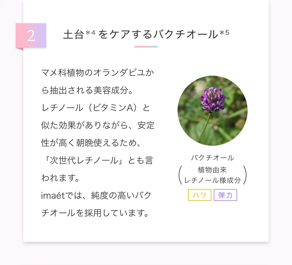 土台をケアするバクチオール　マメ科植物のオランダビユから抽出される美容成分。レチノール（ビタミンA）と似た効果がありながら、安定性が高く朝晩使えるため、「次世代レチノール」とも言われます。imaetでは、純度の高いバクチオールを採用しています。