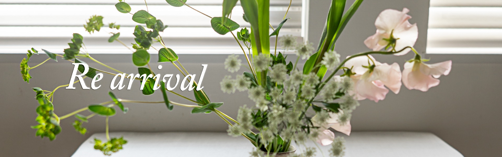 器のある暮らし