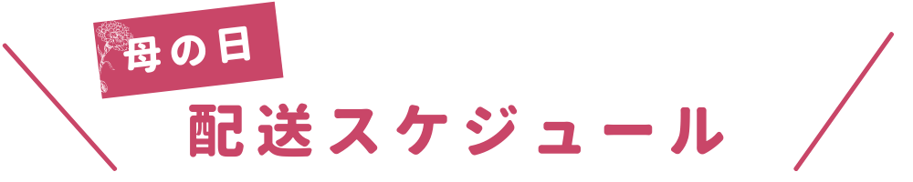 �����������塼��
