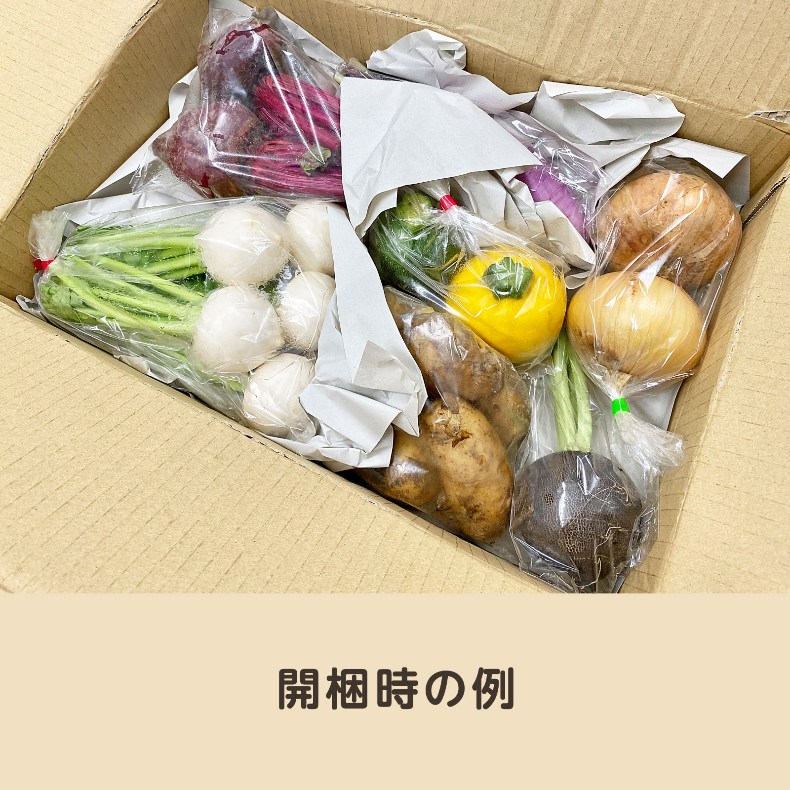 久野農園　食育通販サイト　たべいく　おまかせ野菜セット　宅配商品　Tabeiku