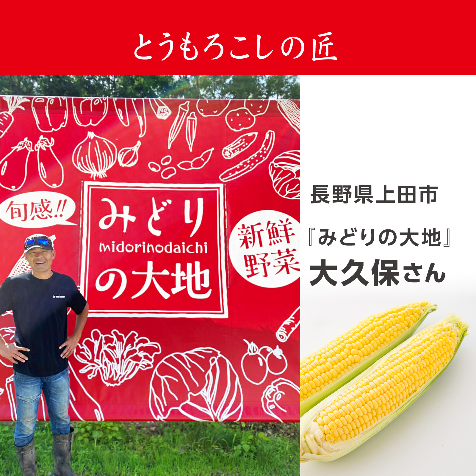 ＜2023年度予約受付予定＞＜宅配専用＞長野県みどりの大地さんのとうもろこし「プレミアム味来85」-食育通販サイト　たべいく　Tabeiku