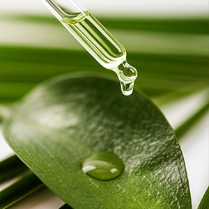 植物オイルのイメージ