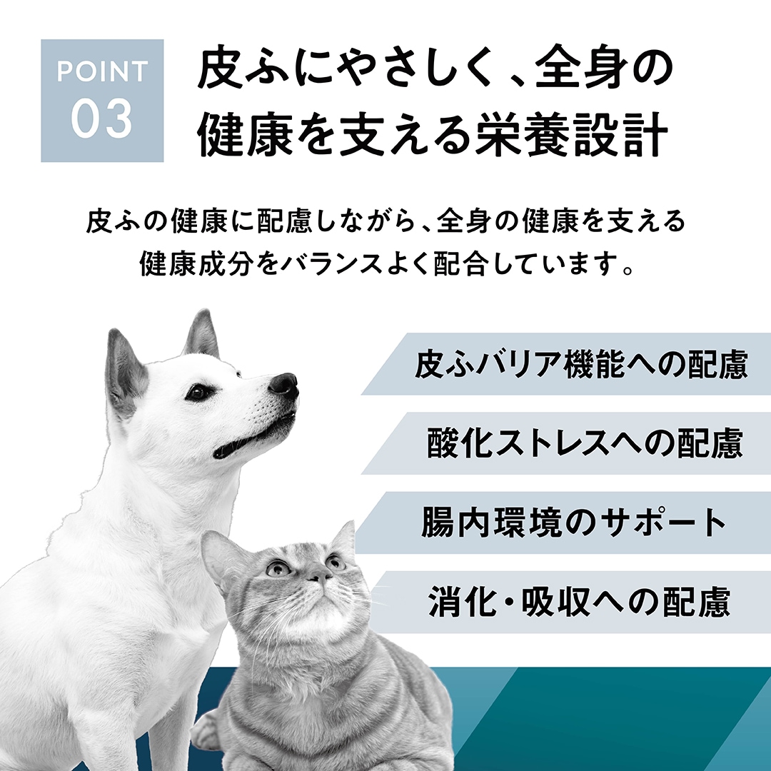 犬用皮ふケアポイント3