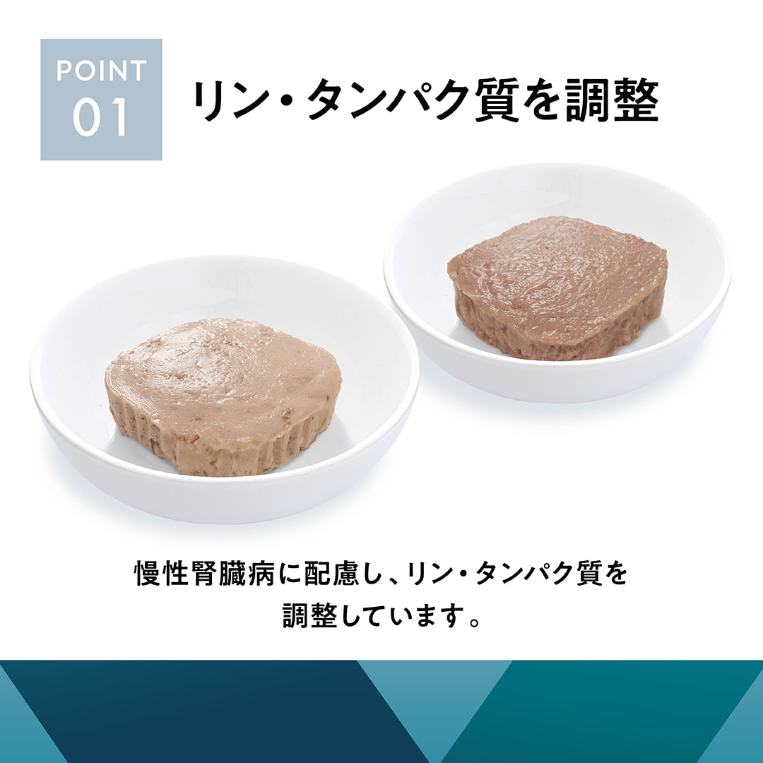 犬用腎臓ケアポイント1