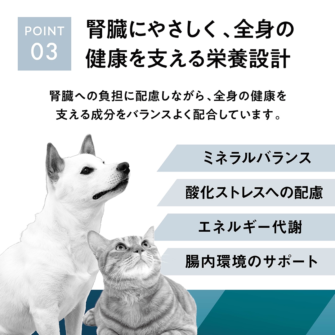 犬用腎臓ケアポイント3