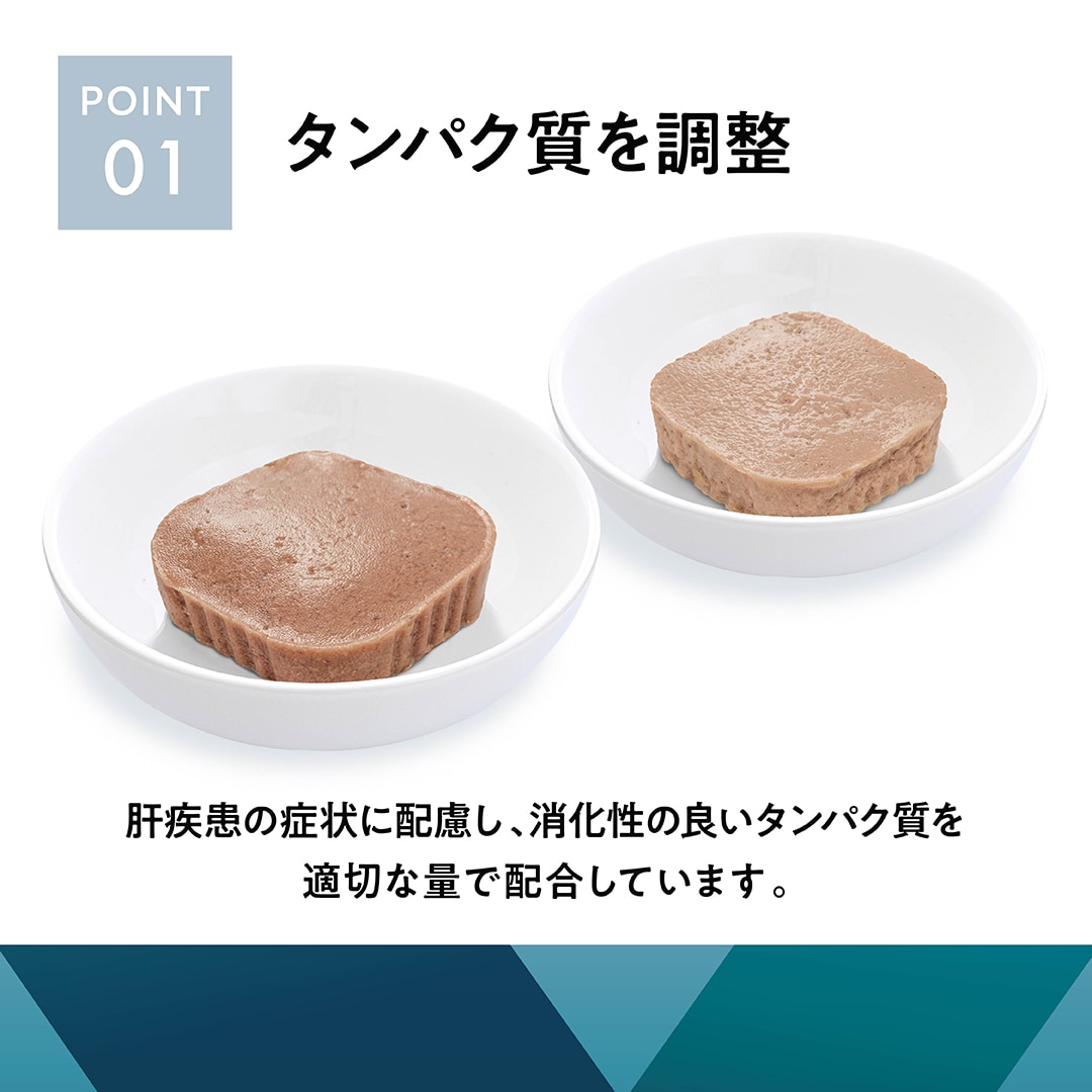 猫用肝臓ケアポイント1