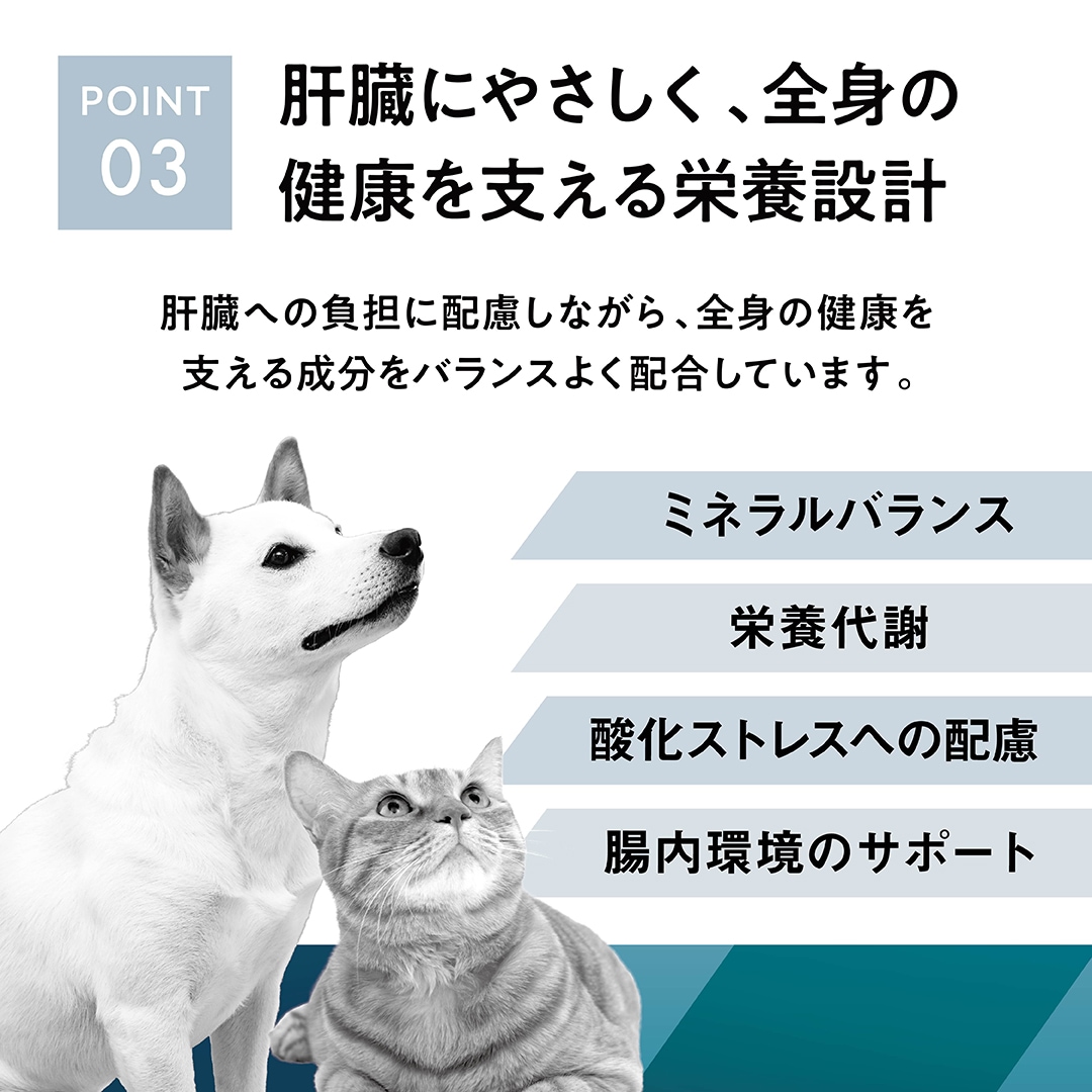 猫用肝臓ケアポイント3