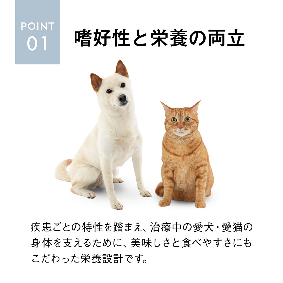 療法食ポイント1