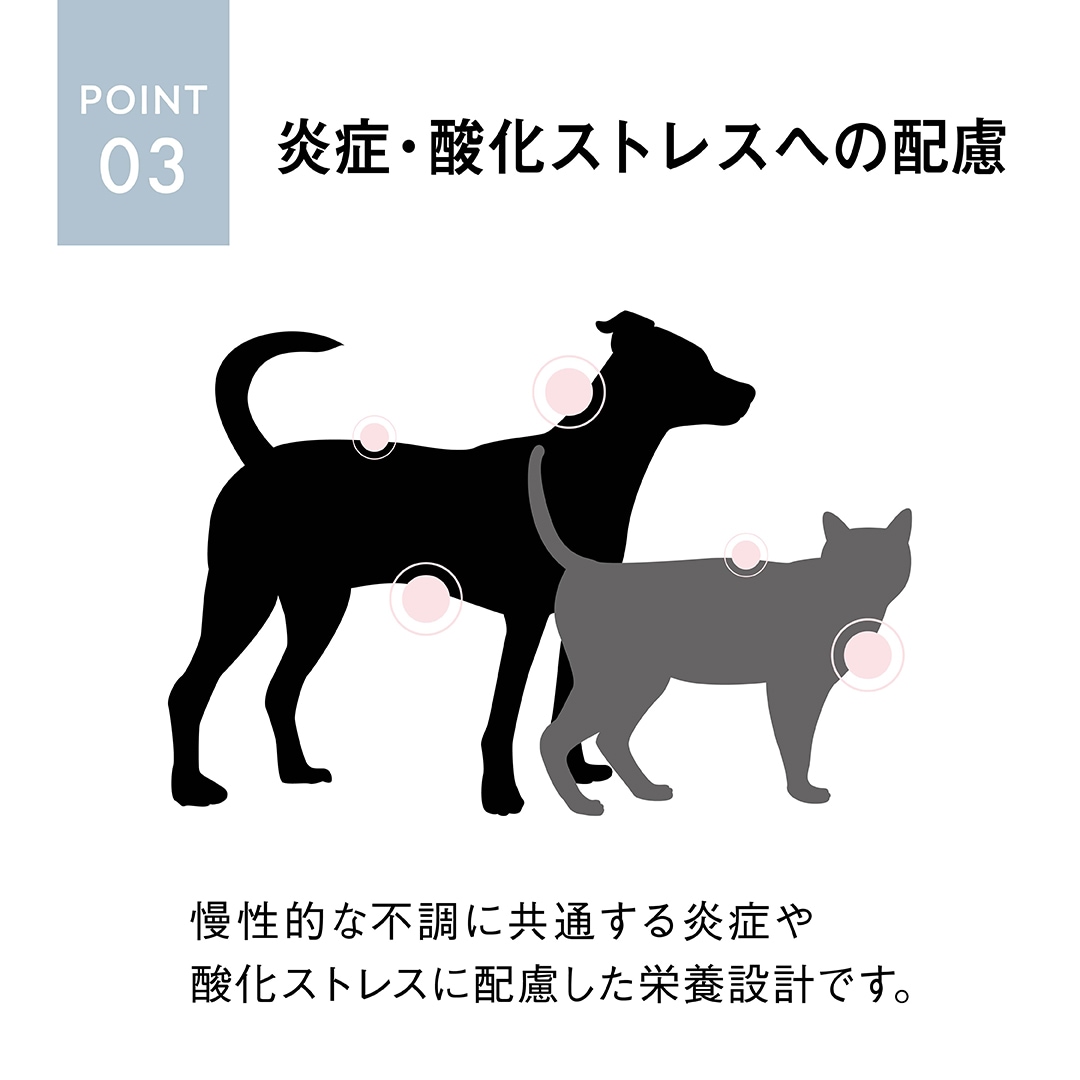 療法食ポイント3