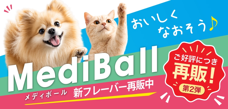 メディボール限定