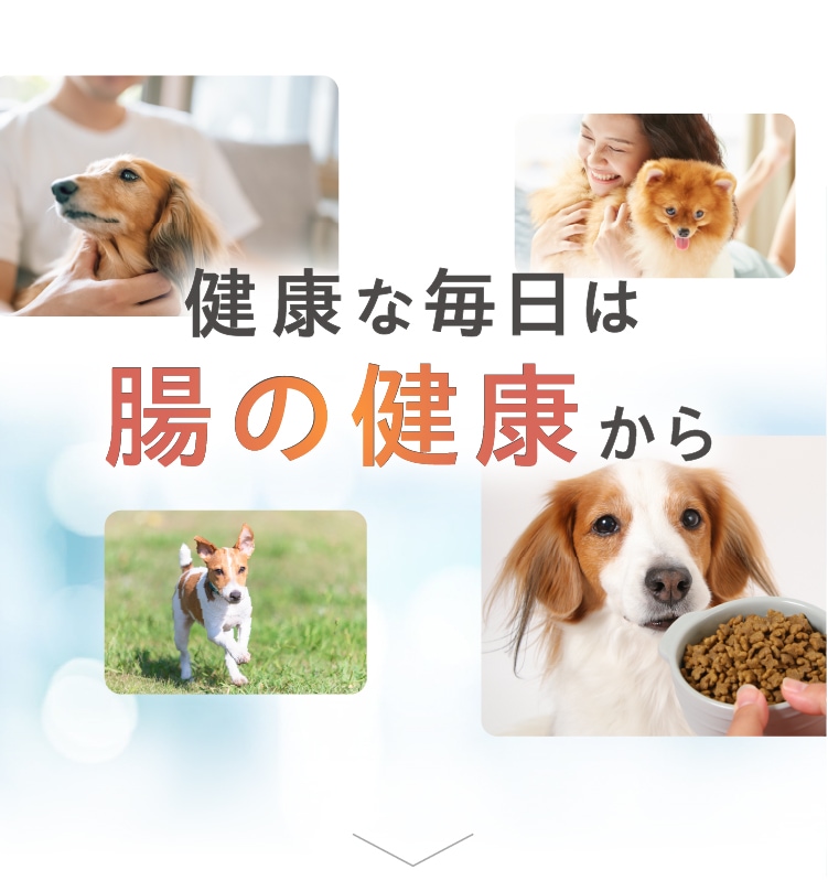 健康な毎日は腸の健康から