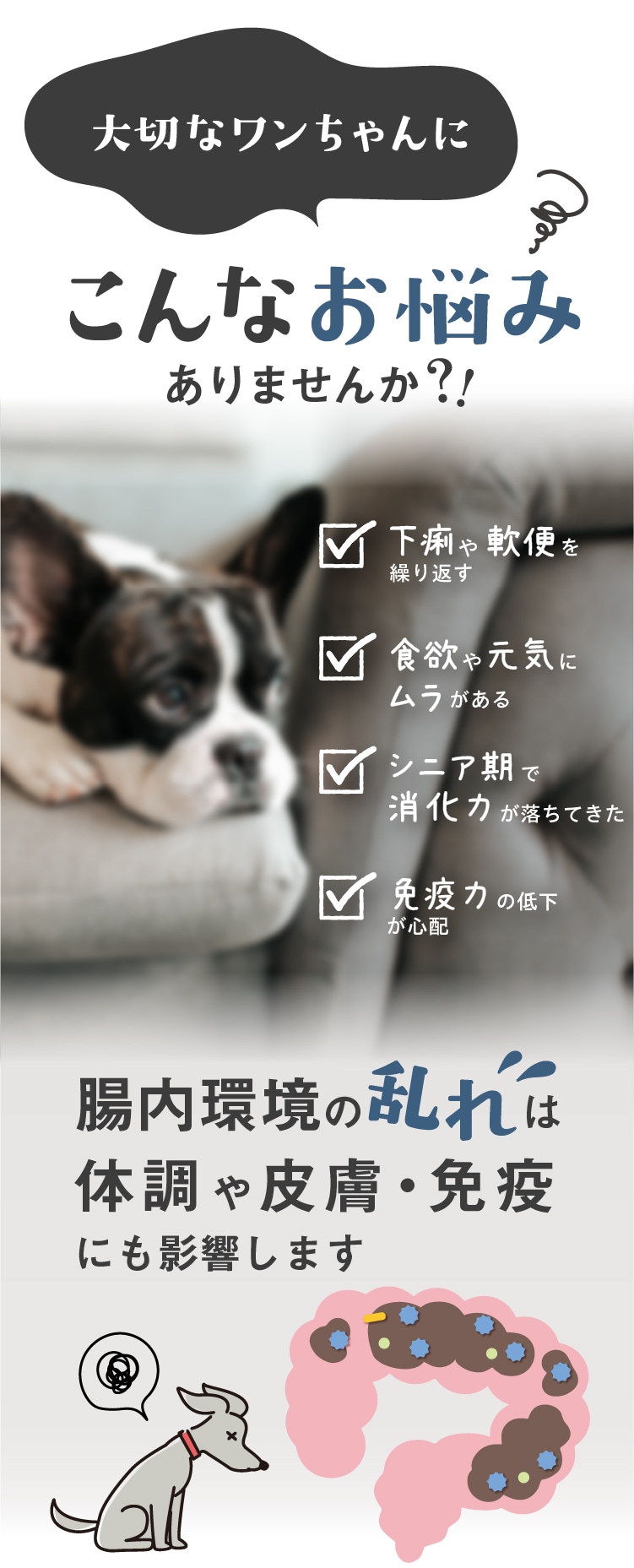 大切なワンちゃんにこんなお悩みありませんか