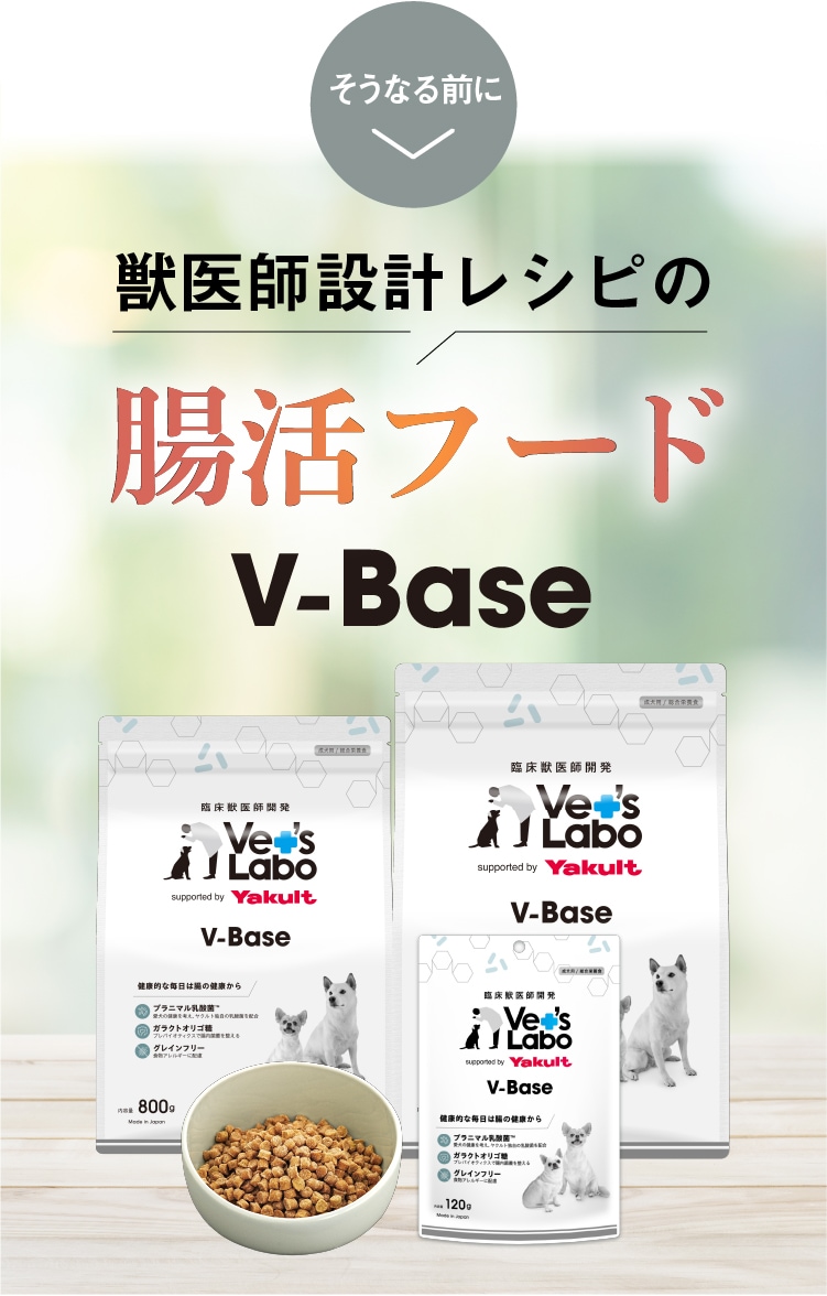 獣医師設計の腸活フード
