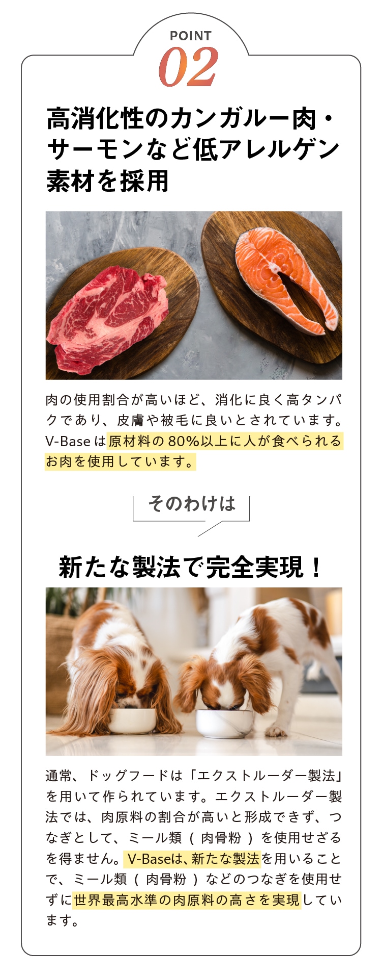 V-Base犬用5つのポイントその2