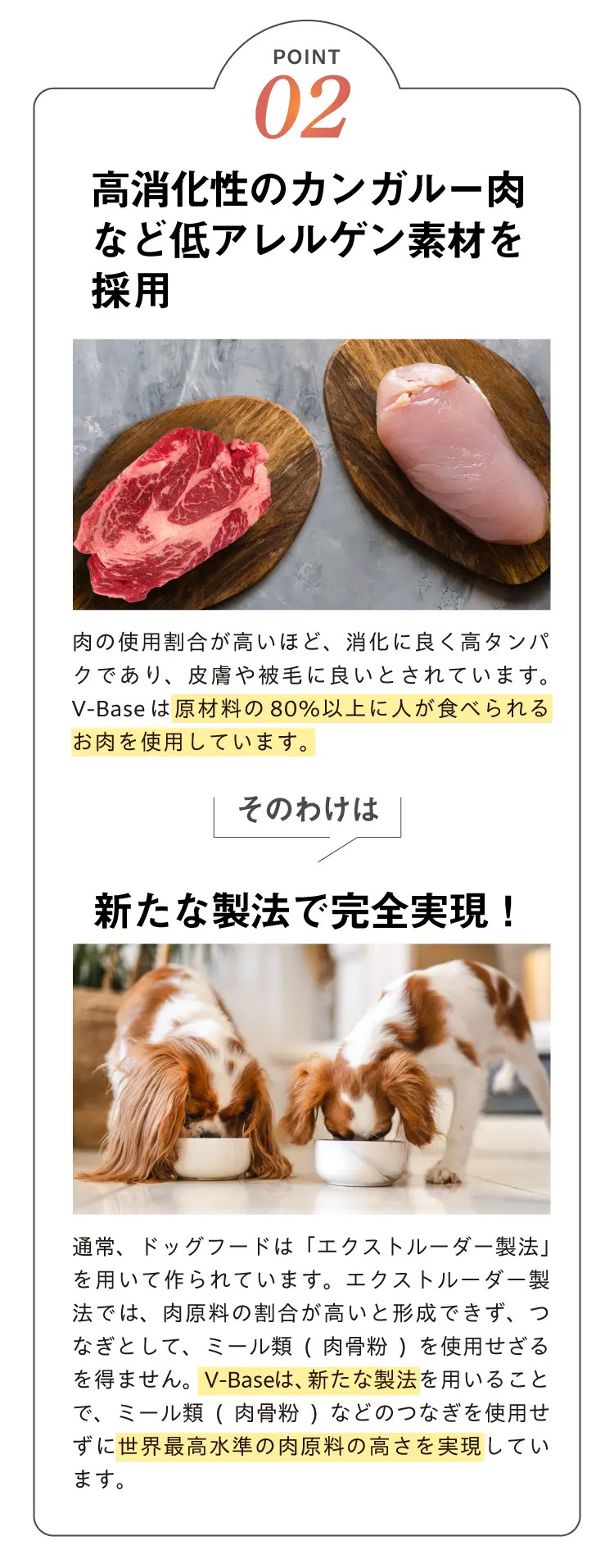 V-Base犬用5つのポイントその2