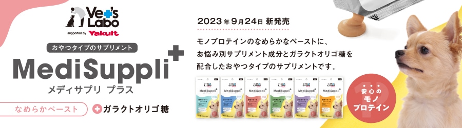 腸活おやつ