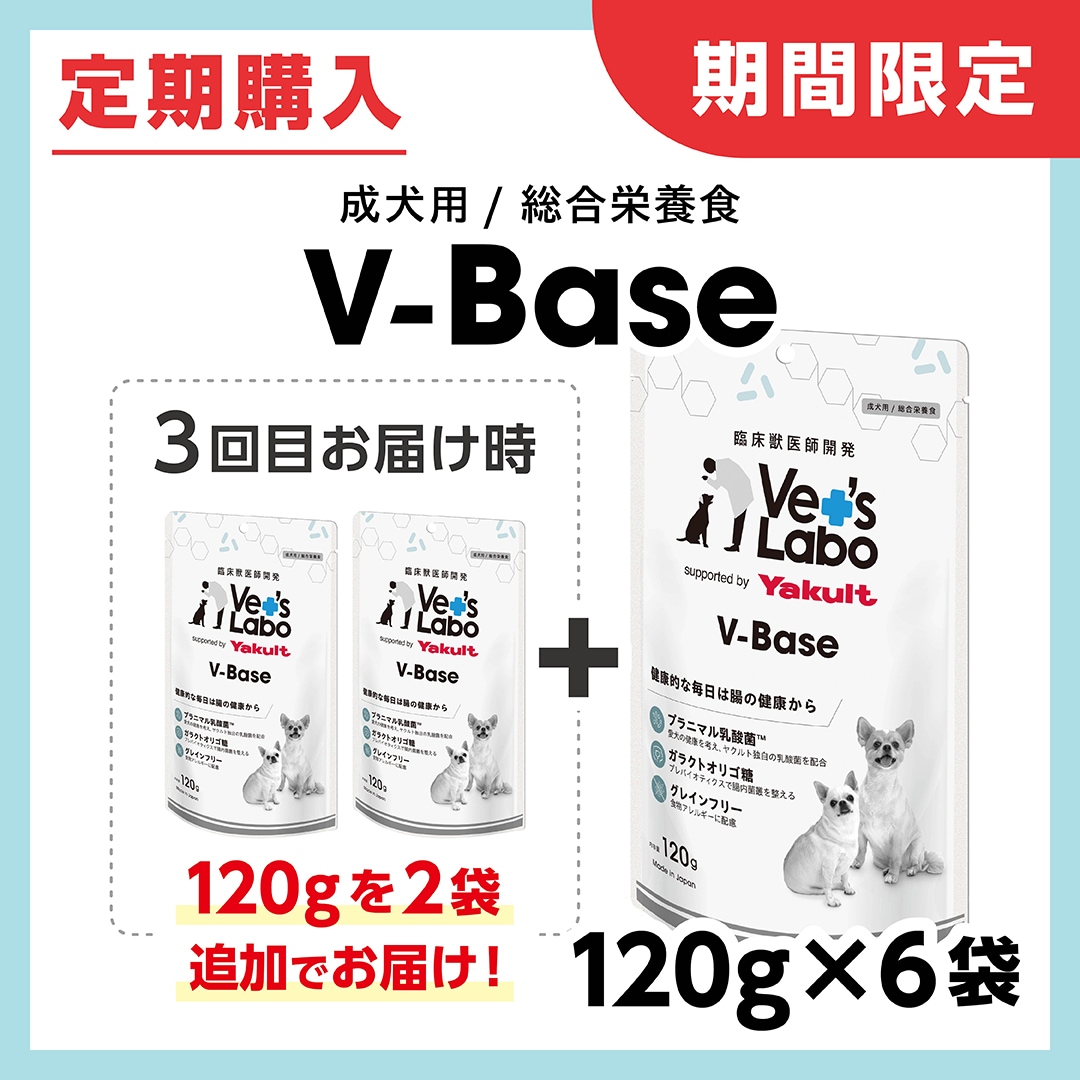 V-Base 120g×6袋定期便