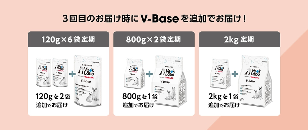 特典内容