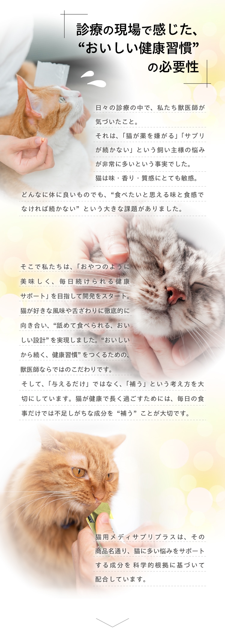 おいしい健康習慣