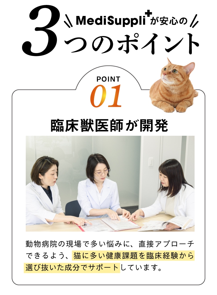 ３つのポイントその1