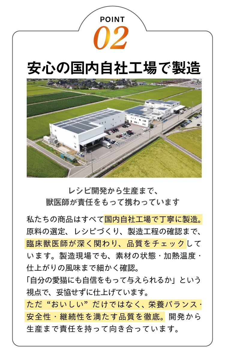 ３つのポイントその2