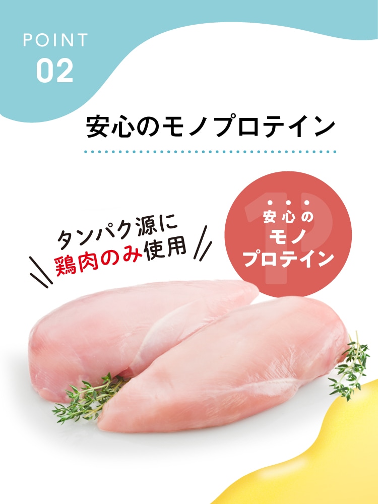 ３つのポイントその2