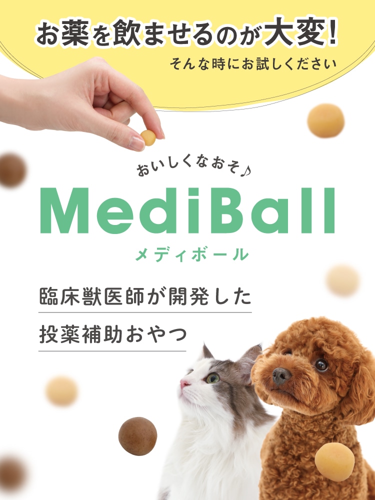 メディボールについて