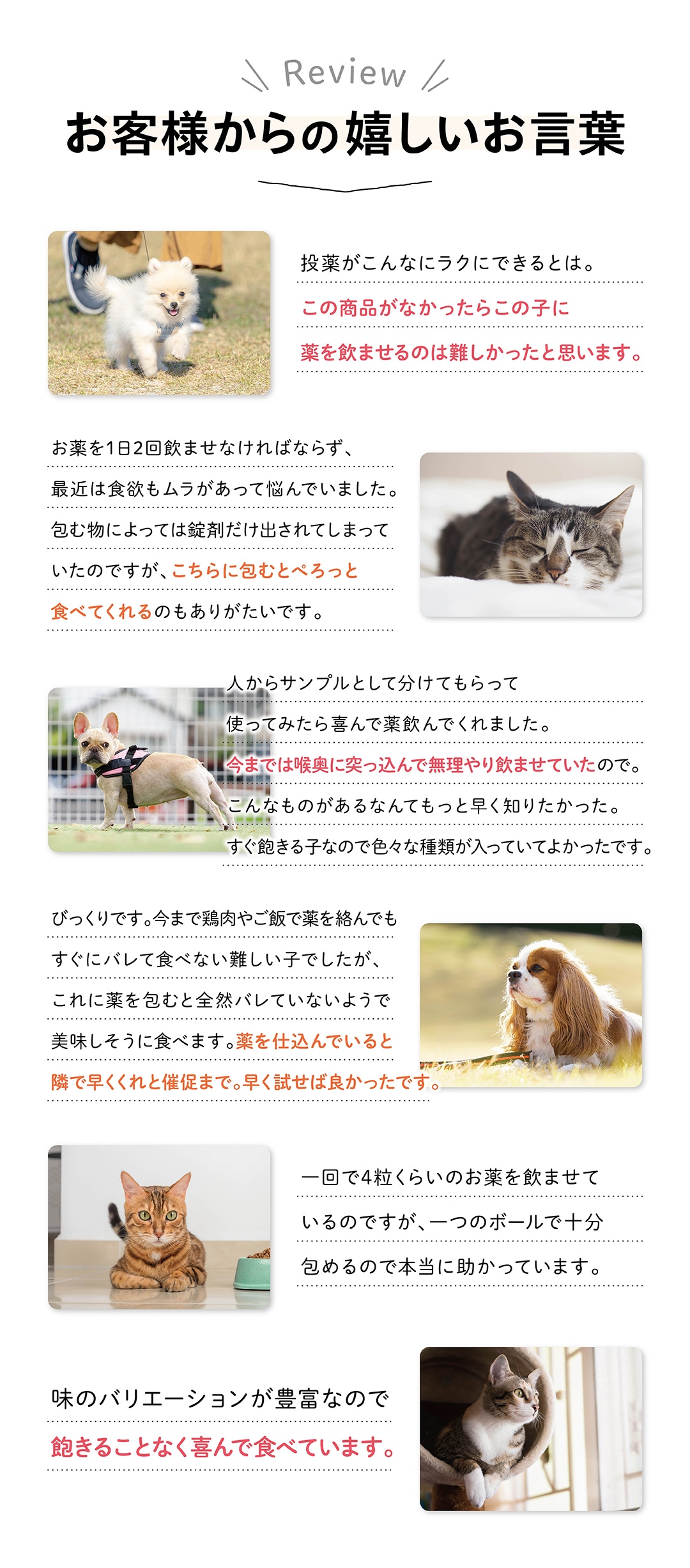 レビュー