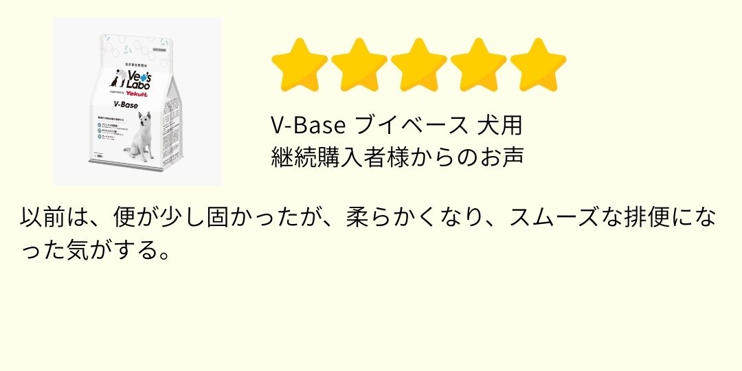 V-Base ブイベース 犬用 800g